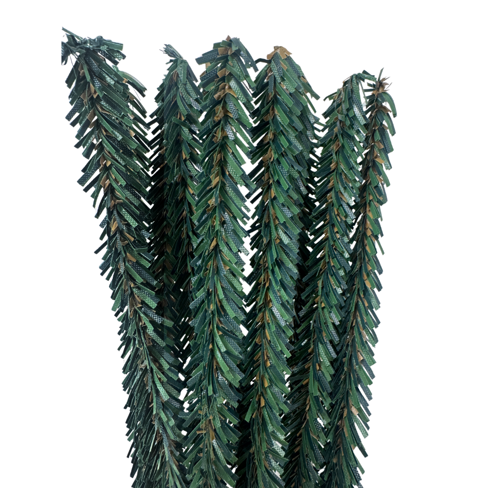 Pack of 12 Canadian Pencil Pine Wired Stems - 12" long- Florals- The Celebration Co.