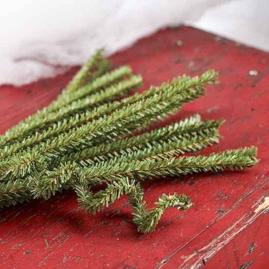 Pack of 12 Canadian Pencil Pine Wired Stems - 12" long- Florals- The Celebration Co.