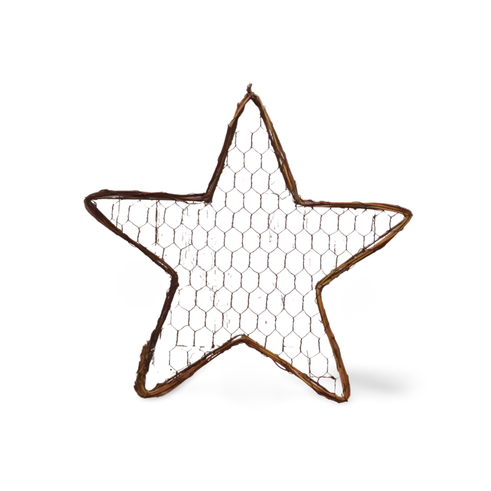Chicken Wire Star with Grapevine Edge (Choose from 2 Sizes)- Embellishments- The Celebration Co.