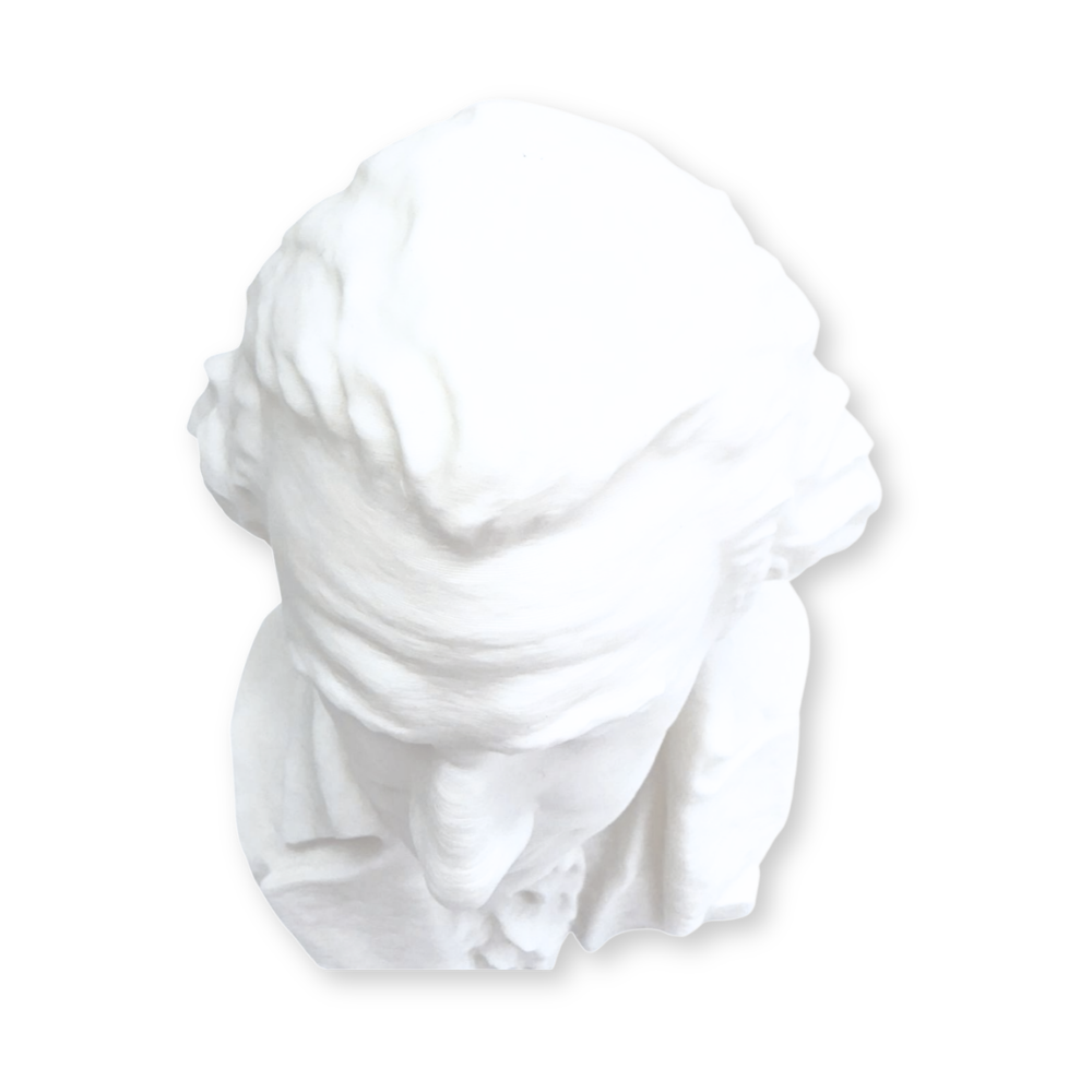 George Washington Bust- 3D- The Celebration Co.