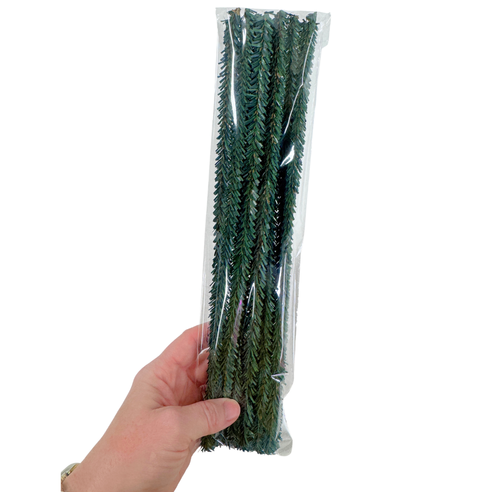 Pack of 12 Canadian Pencil Pine Wired Stems - 12" long-  Florals- The Celebration Co.