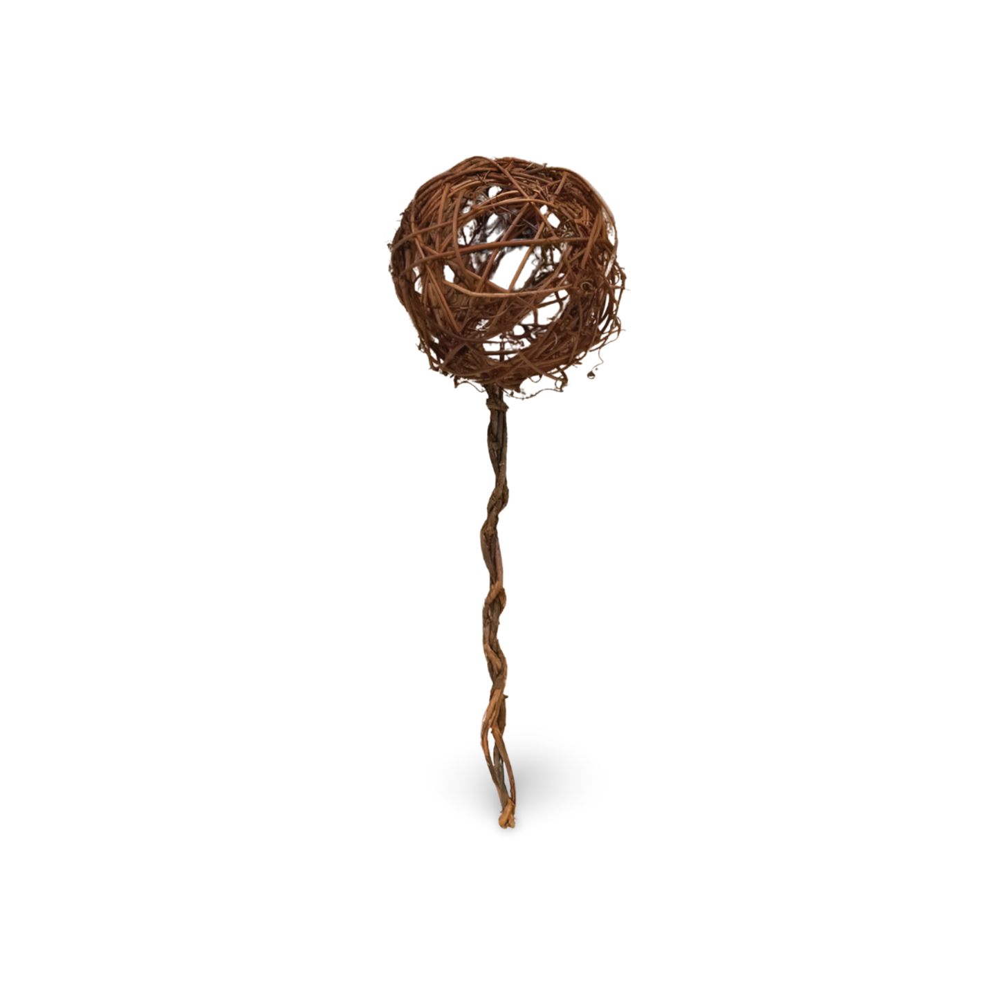 Twig Topiary-  Florals- The Celebration Co.