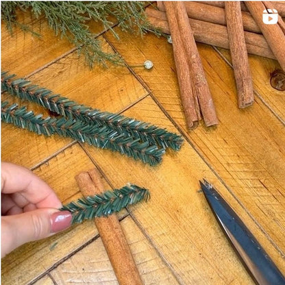 Pack of 12 Canadian Pencil Pine Wired Stems - 12" long-  Florals- The Celebration Co.