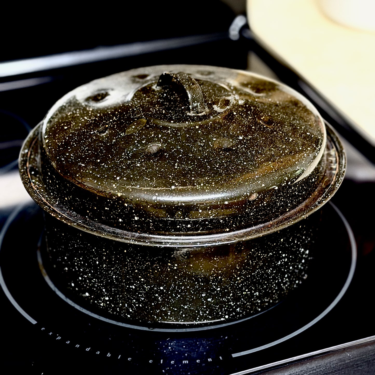 Vintage Black Speckled Enamelware Pot with Lid-  vintage- The Celebration Co.