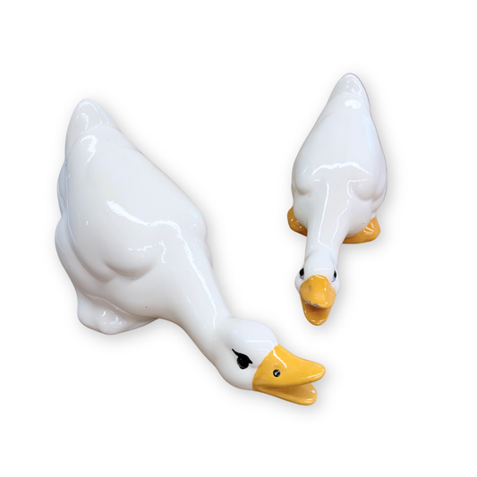 Ceramic Ducks (Set of 2)
