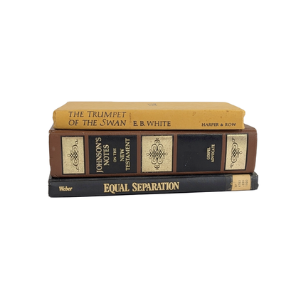 Decorative Fall Book Stack – Set of 3 Coordinating Books (Choice of 9 Stacks)