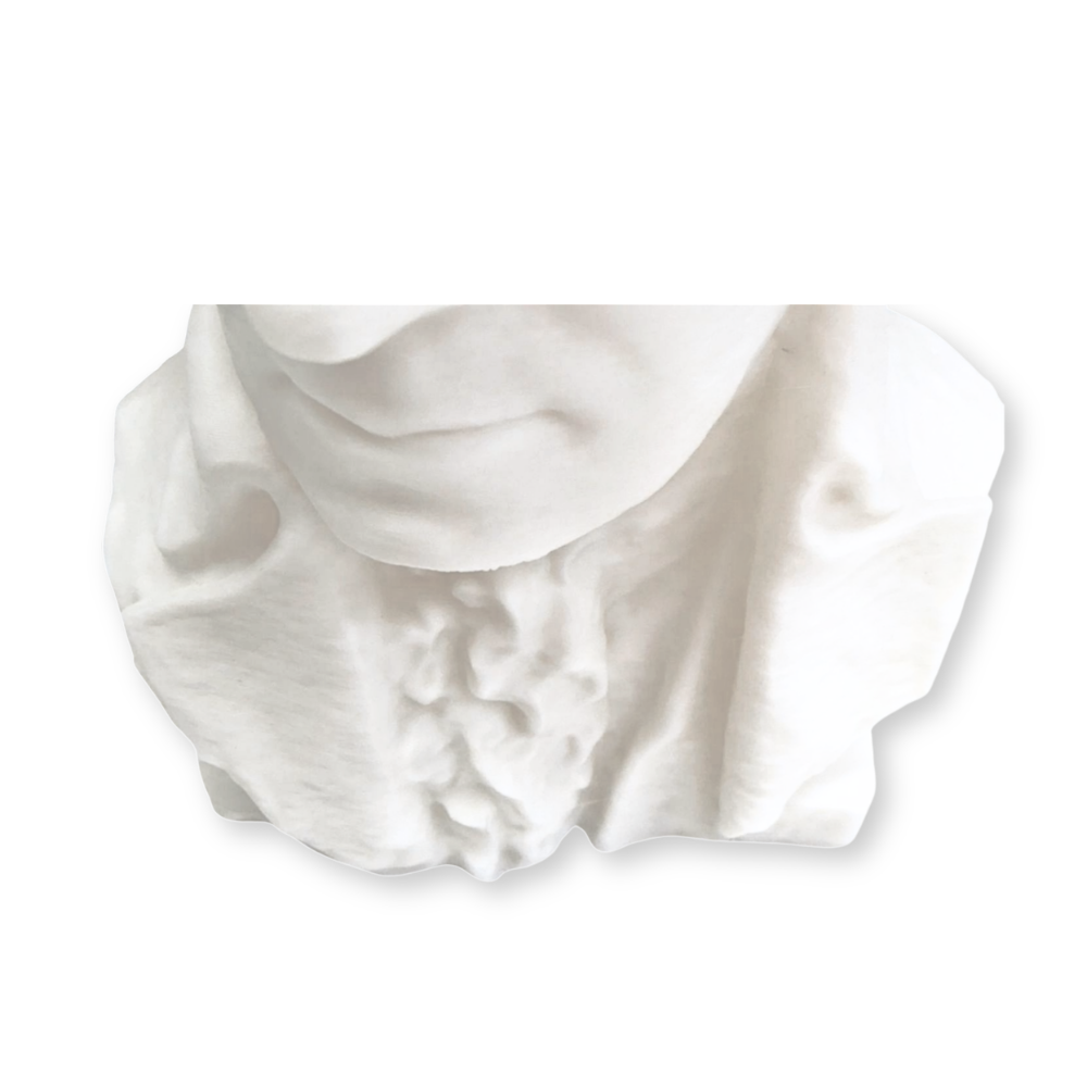 George Washington Bust-  3D- The Celebration Co.