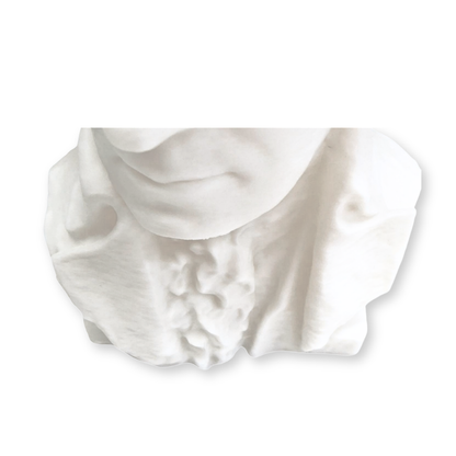 George Washington Bust-  3D- The Celebration Co.