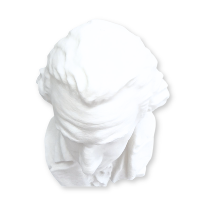 George Washington Bust-  3D- The Celebration Co.