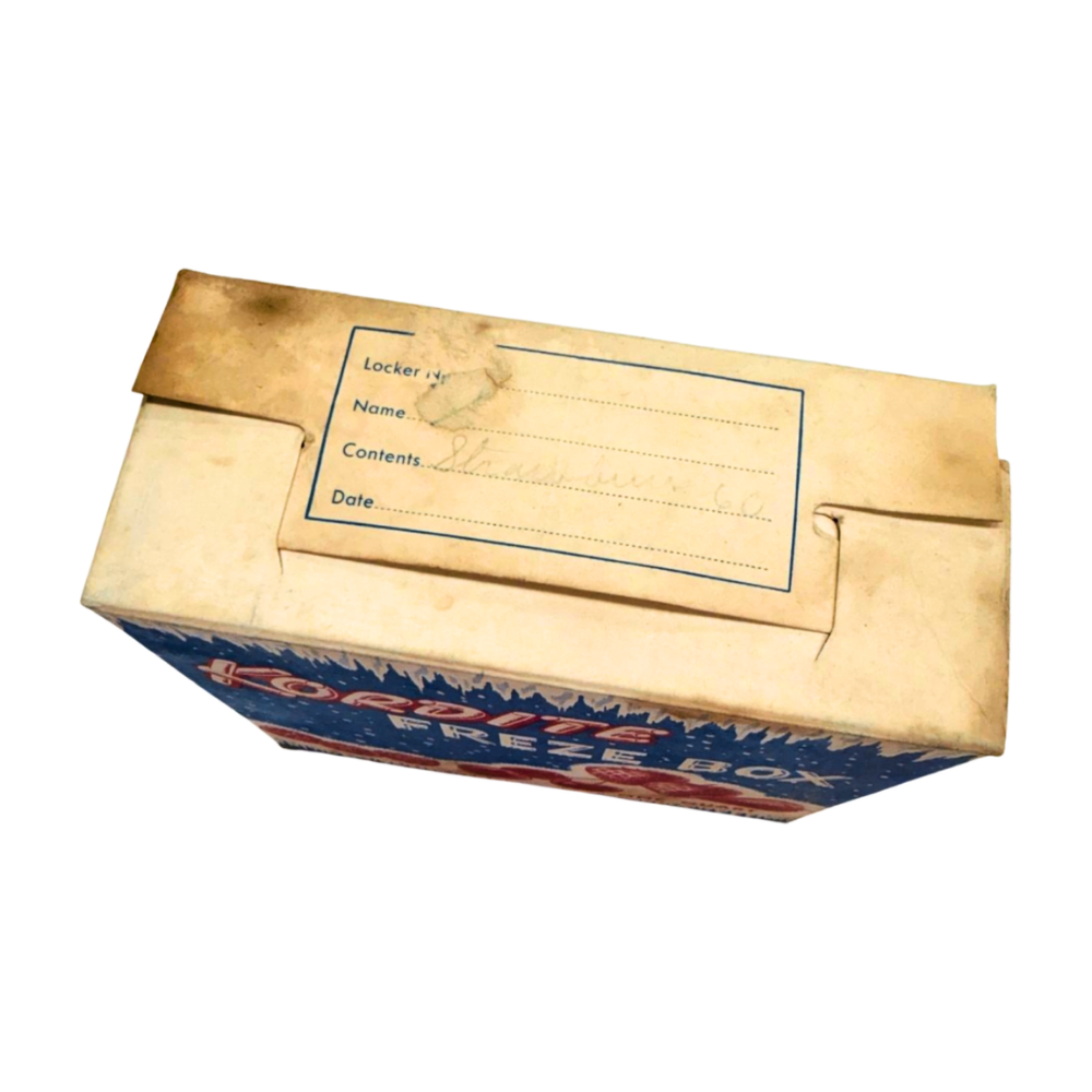 Vintage Kordite Freze Box-  Decor- The Celebration Co.