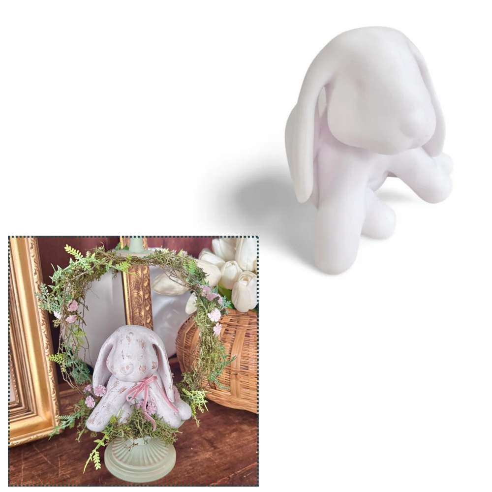 Lop-eared Bunny