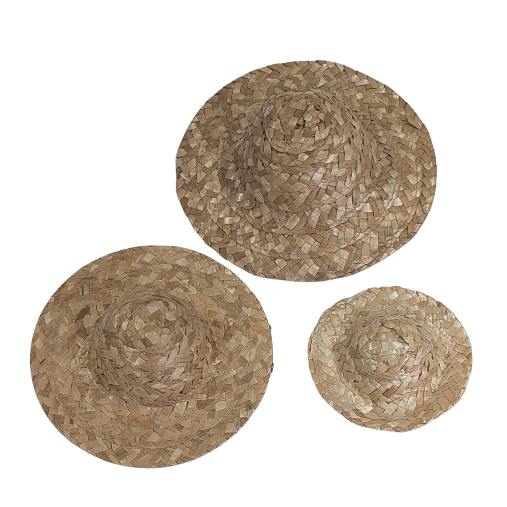 Woven Natural Straw Hat  - Set of 3