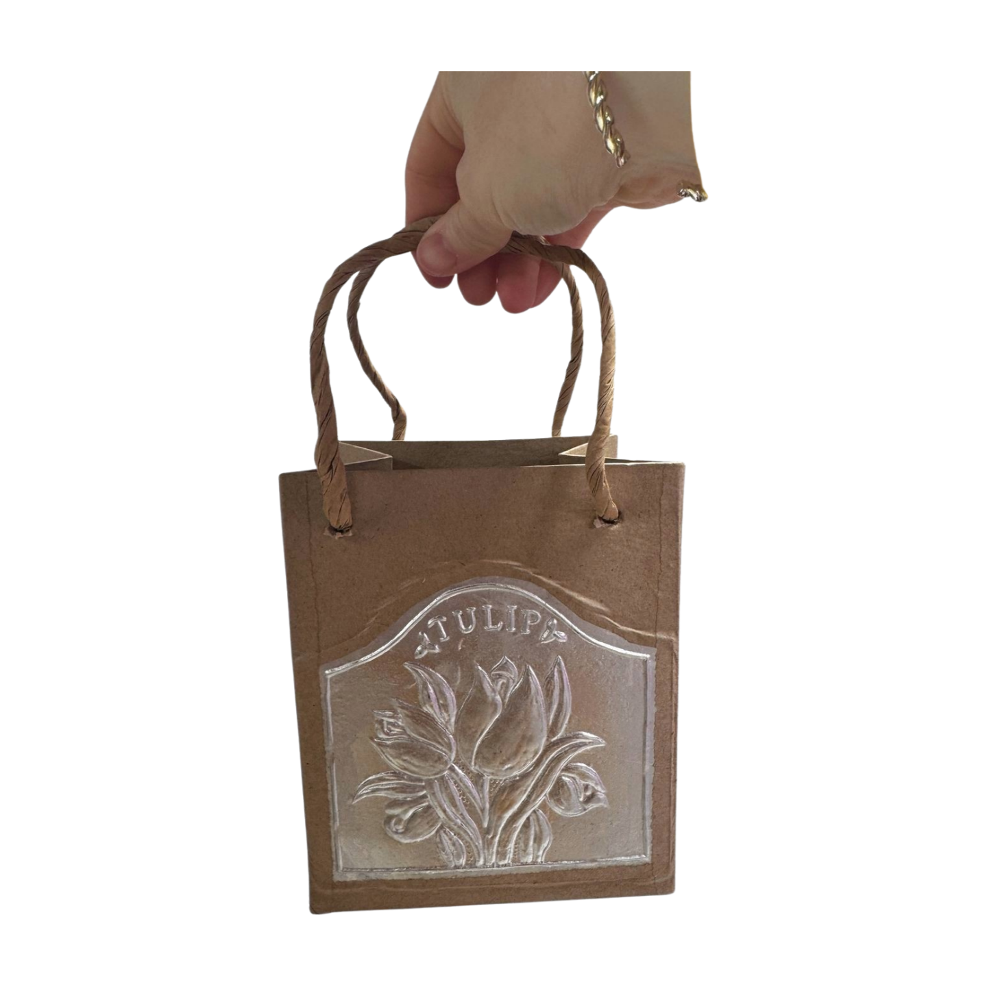 Paper Mache Tulip Bag