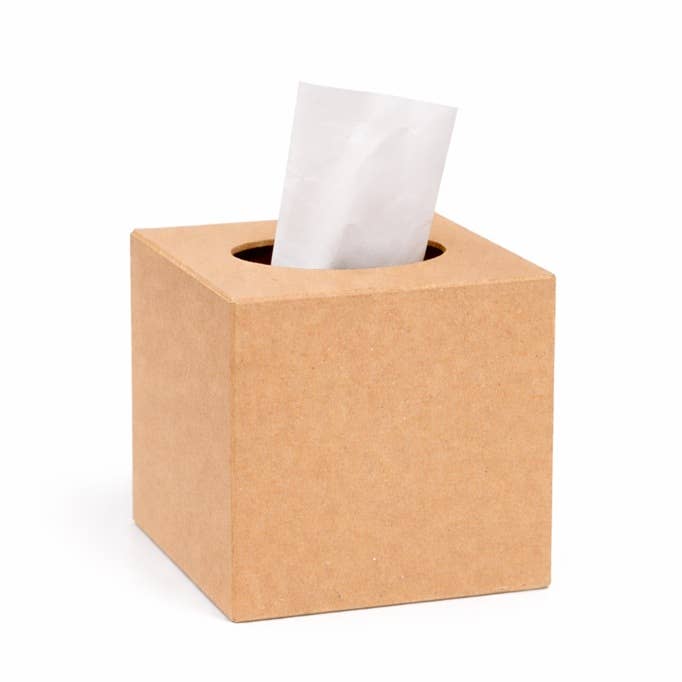 Paper Mache Tissue Box Cover