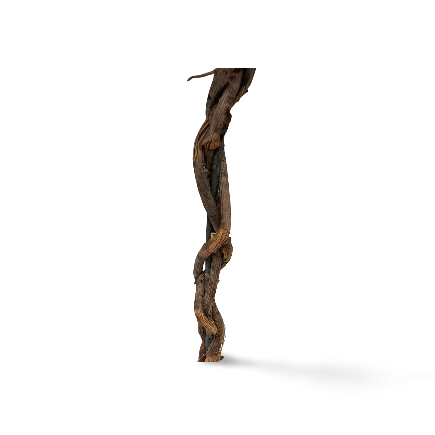 Twig Topiary-  Florals- The Celebration Co.